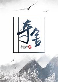 夺舍游戏