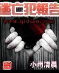 逃亡犯报告女主