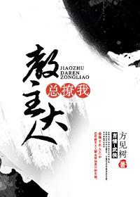 教主大人总撩我免费阅读