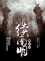 续南明完整版