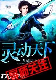 灵动2013