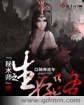 秘术师怎么加点