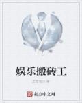 搬砖工视频