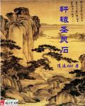 轩辕圣灵石 玲珑盏