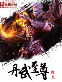 丹武至尊动漫电视在线观看