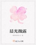 晨光微露的同义词
