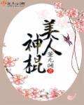 美人神棍为什么不写了