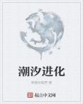 潮汐进化起点