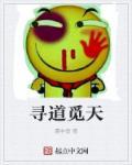 寻道觅天主角为什么换