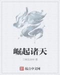 崛起诸天从圣域开始