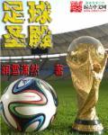 足球圣殿世界杯图文全史典藏版