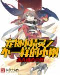 宠物小精灵之小幻