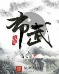 布武天下-智定三国