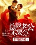 婚情告急总裁老公要不够
