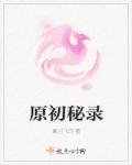 原初之白百度百科