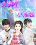 明星厨娘系统