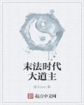 末法时代的修道者吧
