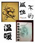抓不住的温柔和汇慧