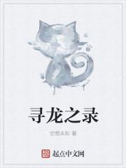 寻龙之旅电影