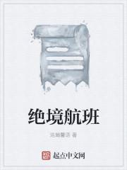 绝命航班精彩25秒