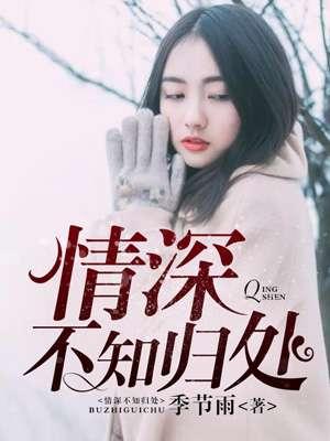 情深不知归何处免费阅读