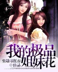 我的极品姐妹花龙翔
