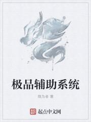 极品辅助系统的冷沐宇