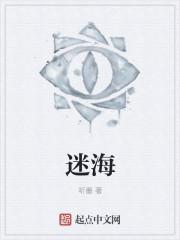迷海归巢电视剧