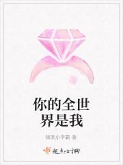 你是我的全世界歌