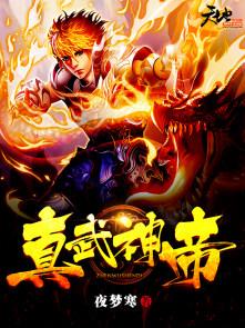 真武神帝动漫