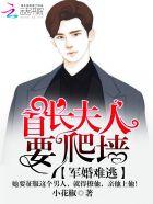 穆少宠妻无度