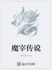 魔弦传说在线播放完整介绍