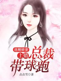 迷糊娇妻上错总裁带球跑 点点雪