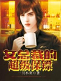 女总裁的超级保镖夜风武免费阅读