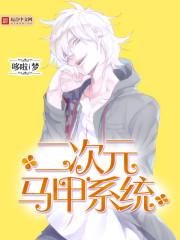 次元马甲系统无广告