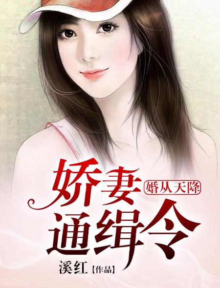 婚从天降捡个首富做老公txt