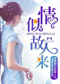情似故人来上中下全三册