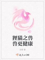 狸猫宠物猫