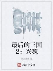 最后的三国2兴魏全本免费