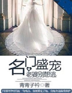 名门盛宠老婆