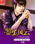鉴宝2007年合集