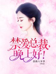 禁爱总裁晚上好姐妹篇