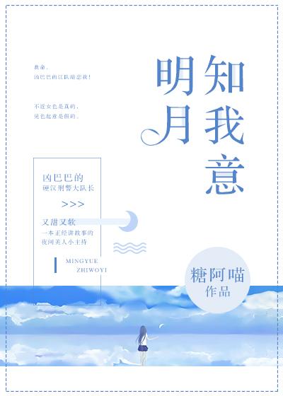 明月知我意内容概括