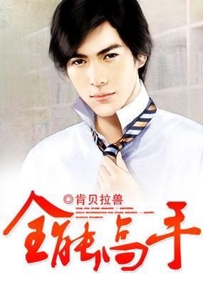 全能高手第一季免费观看