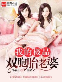 我的极品双胞胎老婆TXT百度