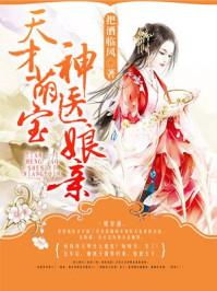 天才萌宝神医娘亲无弹窗
