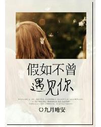 假如不曾遇见你 主要内容