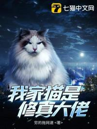 我家猫猫是沙雕作者