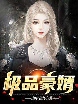 极品豪婿在线听书