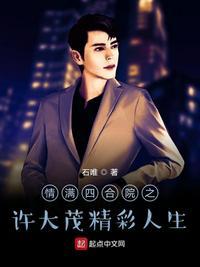 情满四合院之许大茂精彩人生 TⅹT